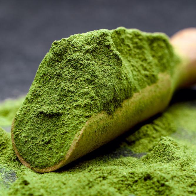 Økologisk Byggressjuice pulver