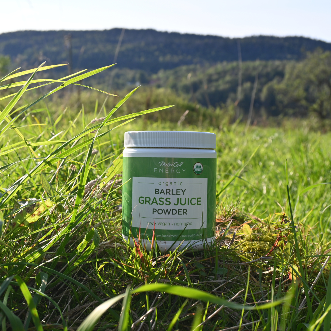 Transform Your Fitness Routine with Barley Grass Juice Powder